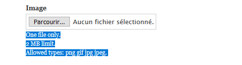 description in file upload help